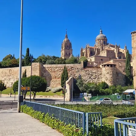 Piso Completo Centrico Y En El Casco Antiguo De Lejlighed