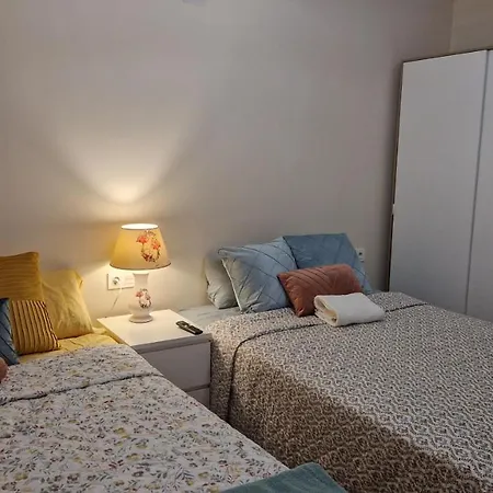 Piso Completo Centrico Y En El Casco Antiguo De Lejlighed